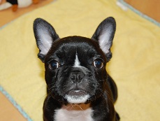 �C���[�W�F