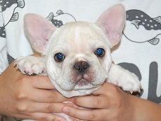 �C���[�W�F