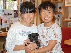 �C���[�W�F