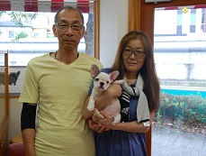 �C���[�W�F