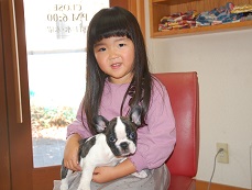 �C���[�W�F