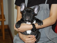 �C���[�W�F