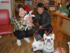 �C���[�W�F