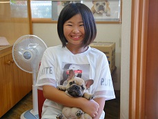 �C���[�W�F