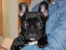 �C���[�W�F