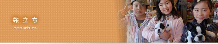 �C���[�W�F������