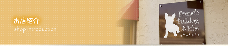 お店紹介