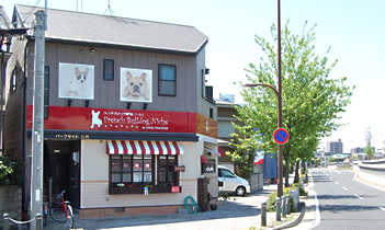 イメージ:フレンチブルドッグ専門店「ニーシュ」