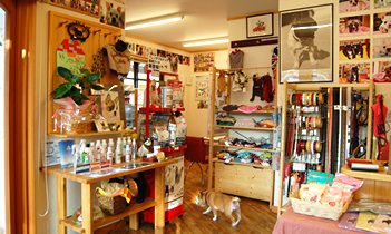 イメージ:ウッドベースで日当たりの良い明るい店内