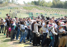 �C���[�W�F����j�[�V���̉��2