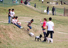 �C���[�W�F����j�[�V���̉��3