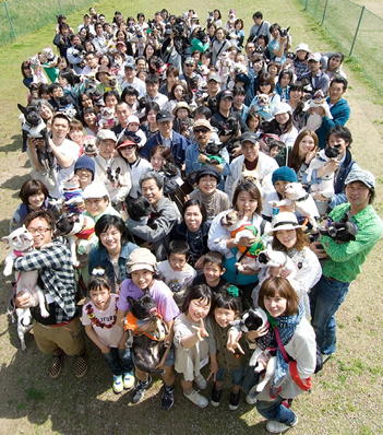 �C���[�W�F����j�[�V���̉�